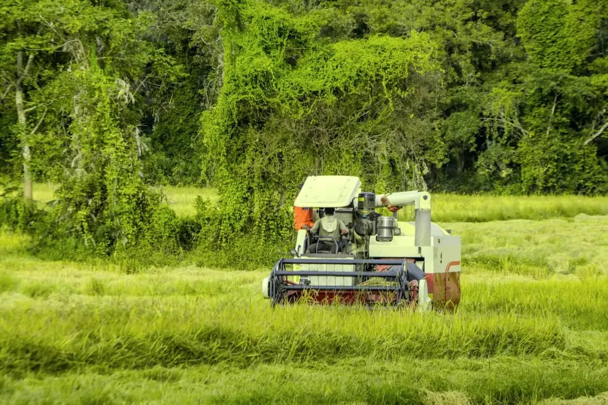 Combine harvester operating across a green agricultural field