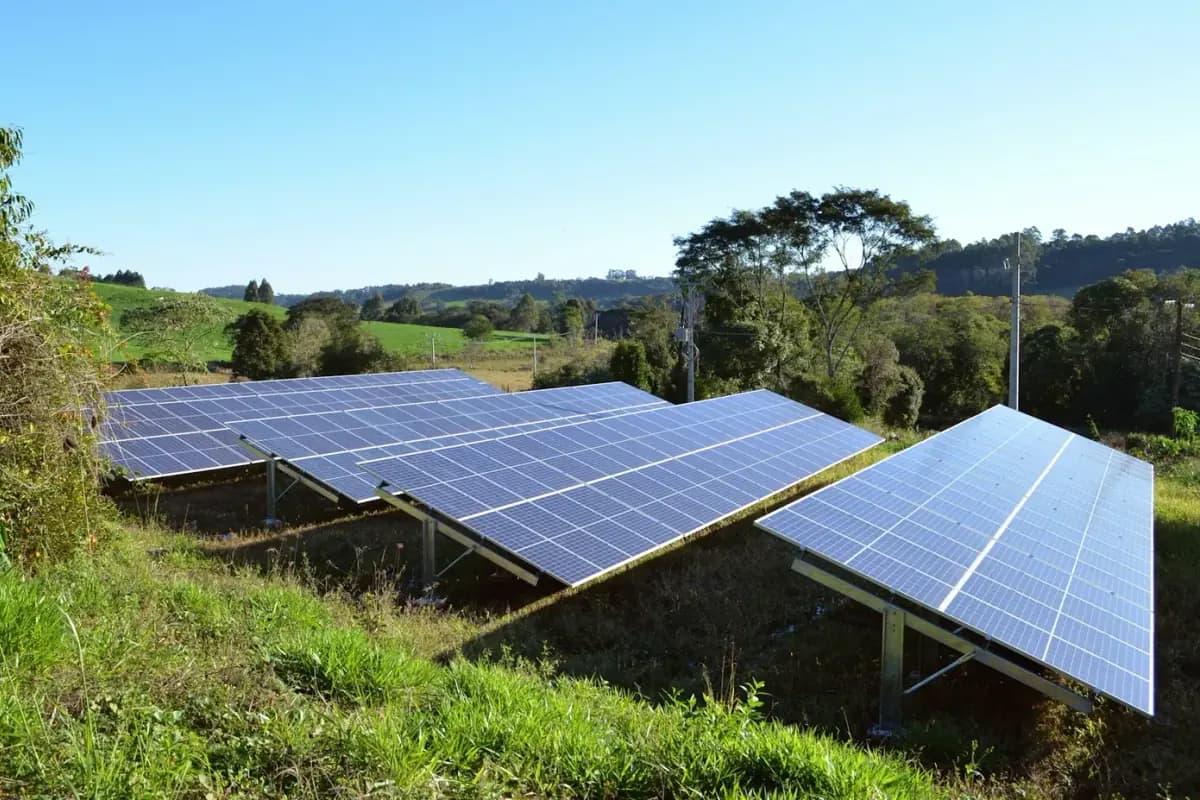 Rows of solar panels installed across a green field under open sky